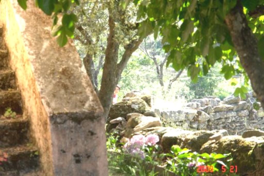 Quinta Do Marvao Guest House Bagian luar foto