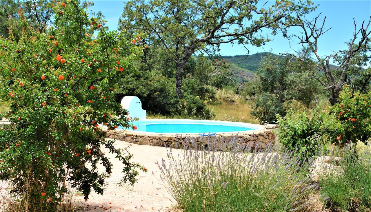 Quinta Do Marvao Guest House Bagian luar foto