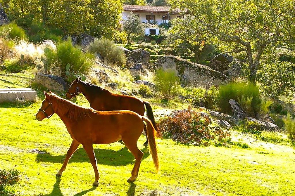 Quinta Do Marvao Guest House Bagian luar foto